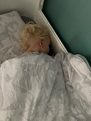 IMG_8161