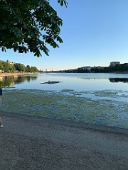 IMG_8321