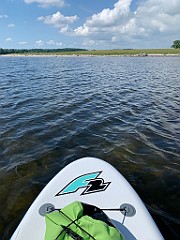 IMG_7631