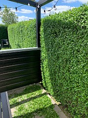 IMG_7691