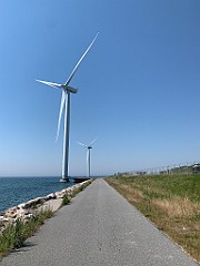 IMG_7829