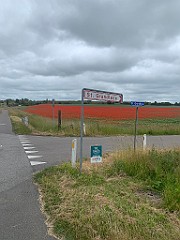 IMG_8028