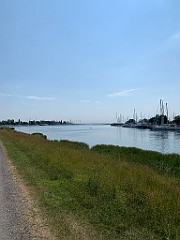 IMG_8336