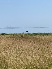 IMG_8340