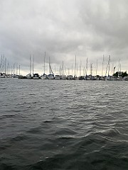 IMG_8413