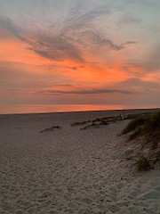 IMG_9167