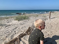 IMG_0021