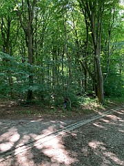 IMG_9856