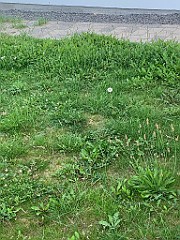 IMG_0113