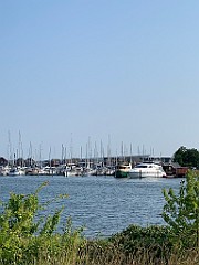 IMG_0143