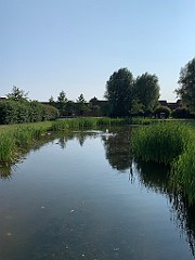 IMG_0145