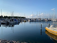 IMG_0361