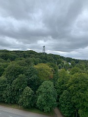 IMG_0501