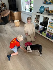 IMG_0509