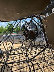 IMG_8687