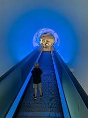 IMG_8698