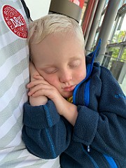IMG_8726