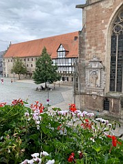 IMG_8903