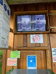 IMG_8962