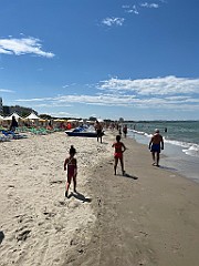IMG_3531