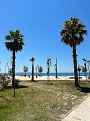 IMG_3712