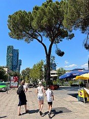 IMG_4554