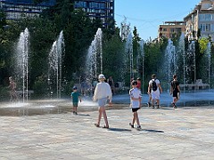 IMG_4572