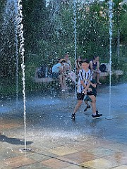 IMG_4578
