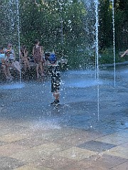 IMG_4587