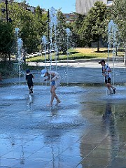IMG_4591