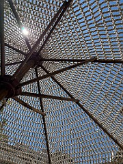 IMG_4709