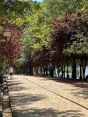 IMG_5035
