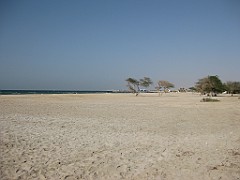 IMG_4456