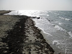 IMG_4461