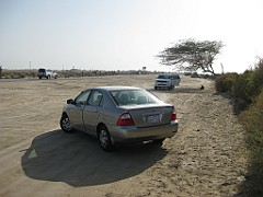 IMG_4462