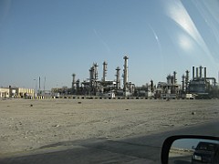 IMG_4503