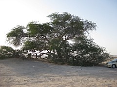 IMG_4514