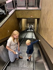 IMG_3141