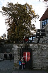 IMG_9536