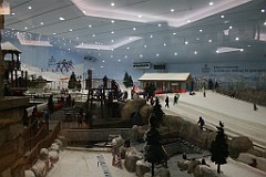 IMG_3364