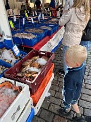 IMG_2354
