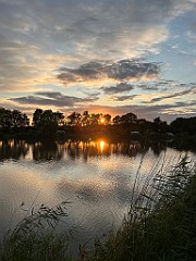 IMG_2471
