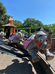 IMG_2616