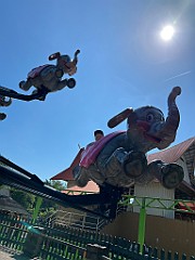 IMG_2618