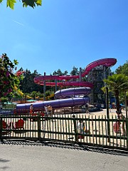 IMG_2656
