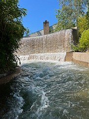 IMG_2675