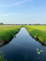 IMG_2792