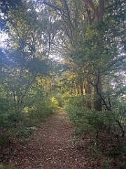 IMG_2798