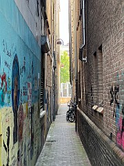 IMG_2849