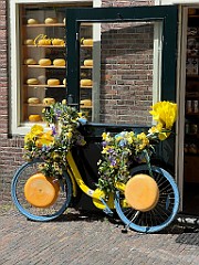 IMG_2891